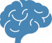 brain